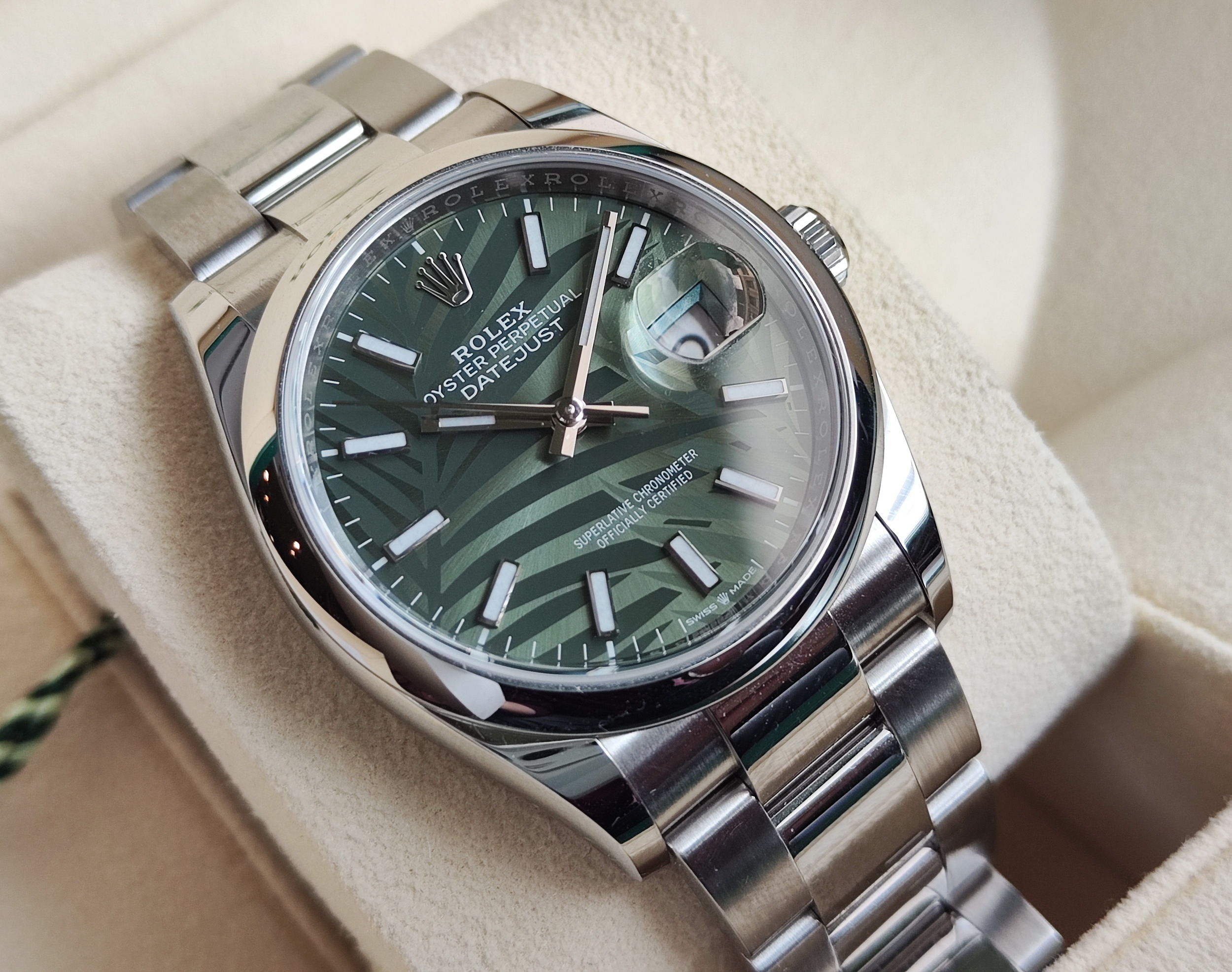 勞力士 126200 棕櫚葉面盤 錶徑36mm 自動上鍊 極度罕見~原廠盒單 停產款